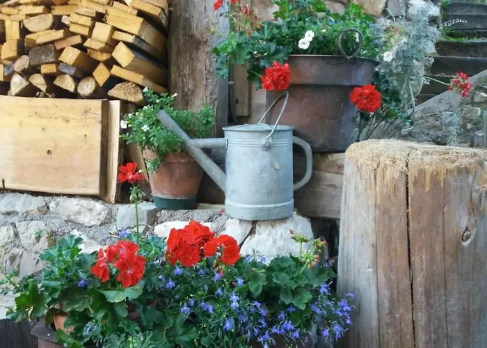 Nocleg ze śniadaniem Al Castel 3*