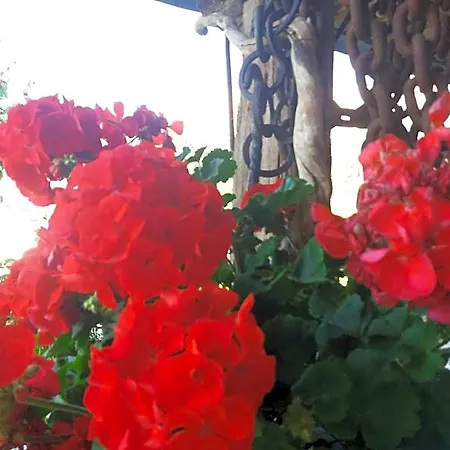 Al Castel فندق مبيت وإفطار