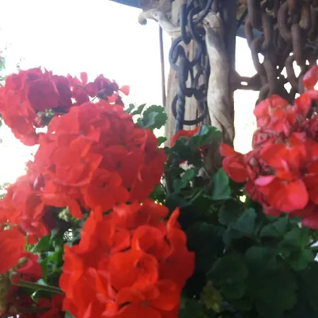 Al Castel Bed and Breakfast *
