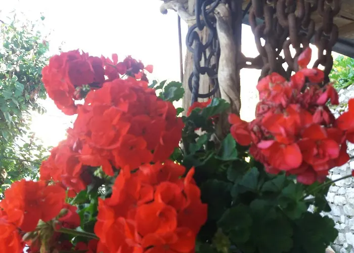 Al Castel Bed & Breakfast 3*